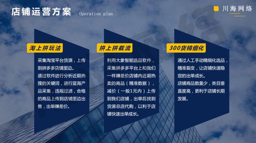 陜西拼上拼貼牌軟件與大象采集 精細化運營助力拼多多代掘金