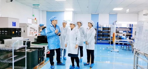 攜手共進，共創未來——深圳擔保集團蒞臨云里物里考察指導軟件開發工作