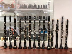 嘉善2家企業(yè)首登省級(jí)榜單 實(shí)現(xiàn)樂(lè)器配件領(lǐng)域零突破