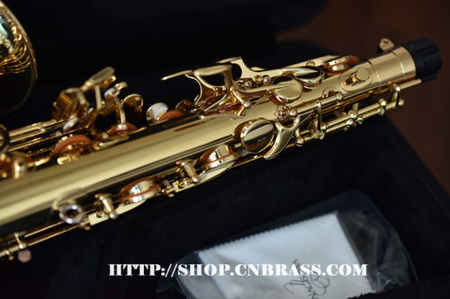 柳澤中音薩克斯A-WO1樂(lè)器配件全面解析