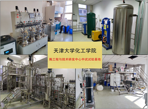 “一箭雙雕”新技術，助力緩解白色污染——生物化工產品技術研發取得突破